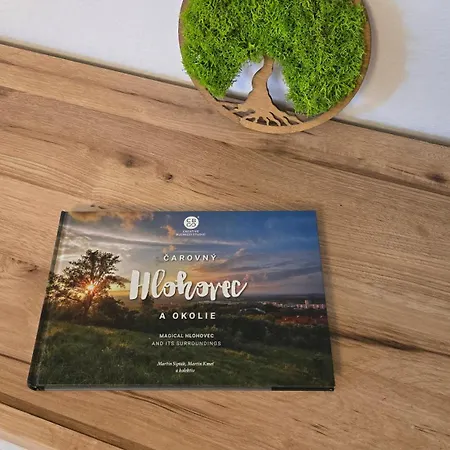 度假居 Dom Center